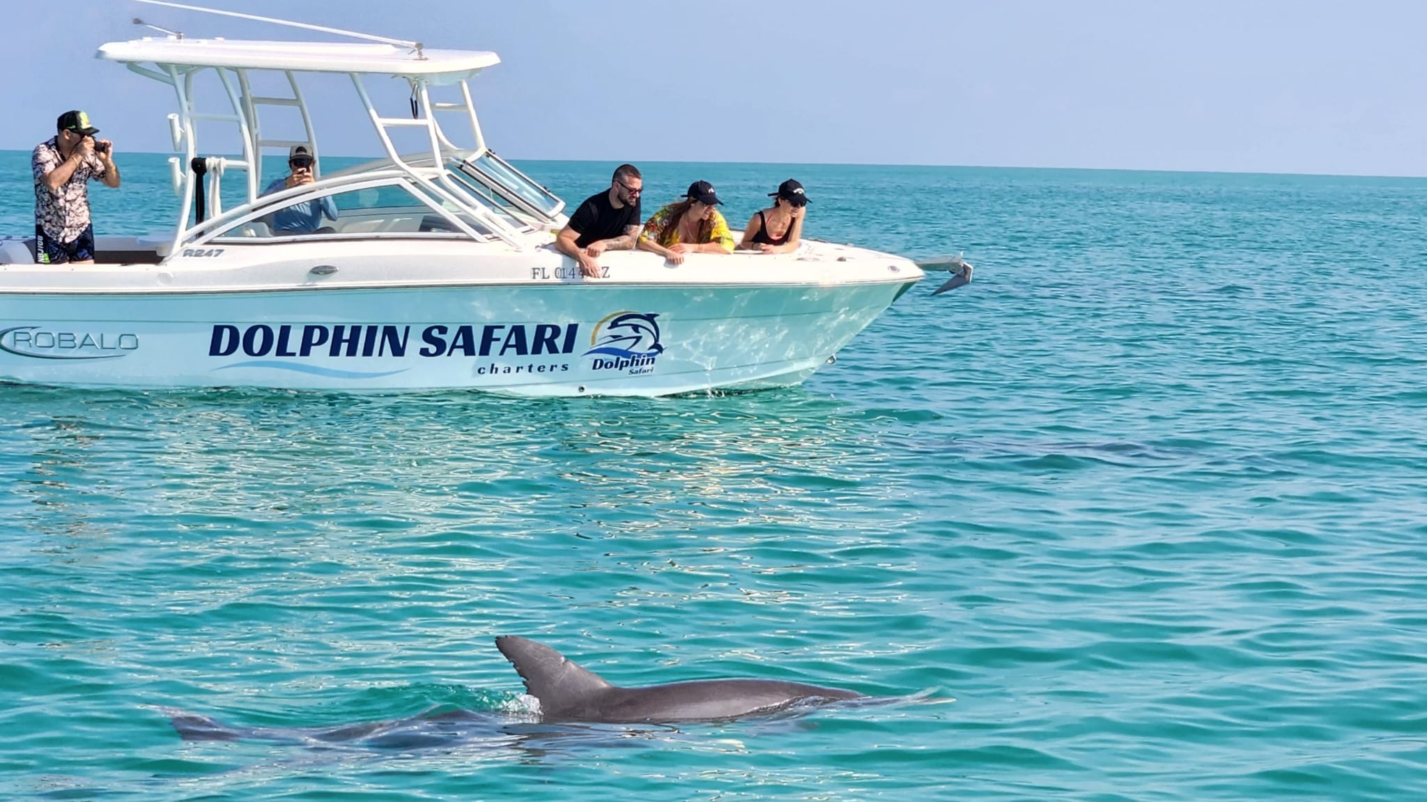 guests watching wild dolphins from a dolphin safari charters boat in key west