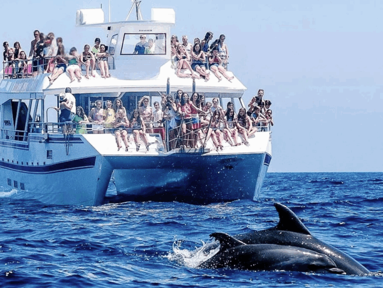 Crowded large boat dolphin tour with 40+ passengers