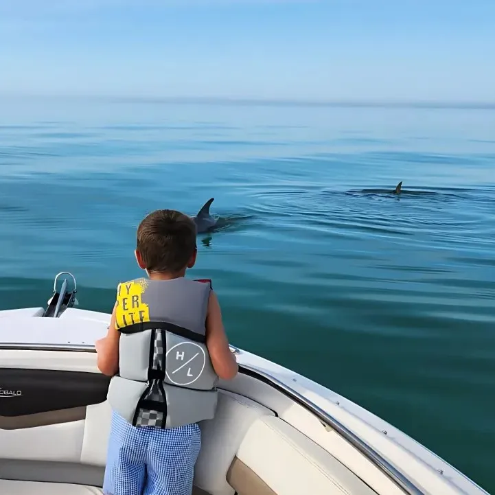 Family dolphin watching tour Key West with Dolphin Safari