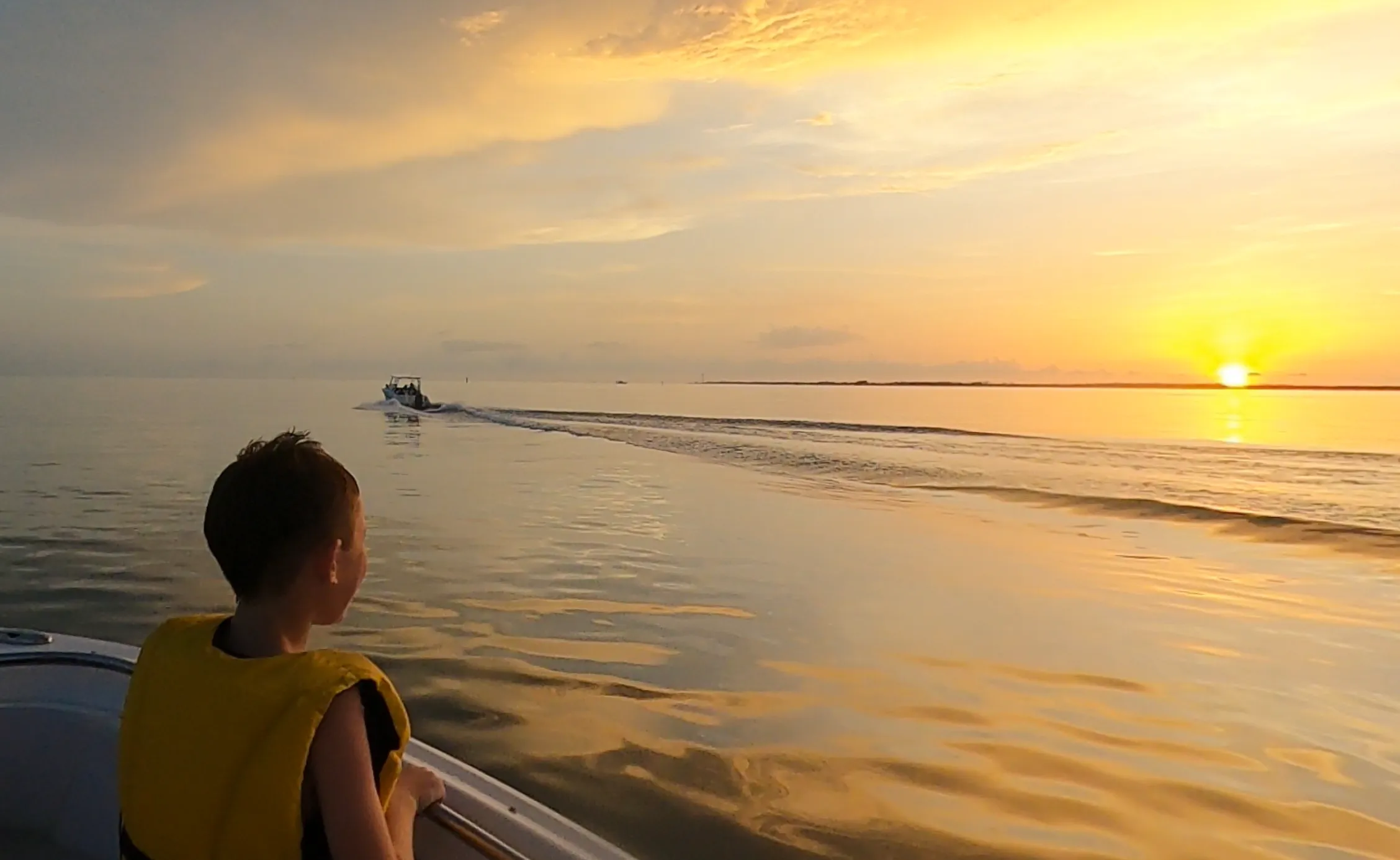 Evening dolphin tour sunset