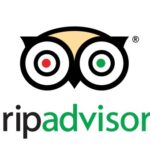 Dolphin Safari Charters recommended by TripAdvisor