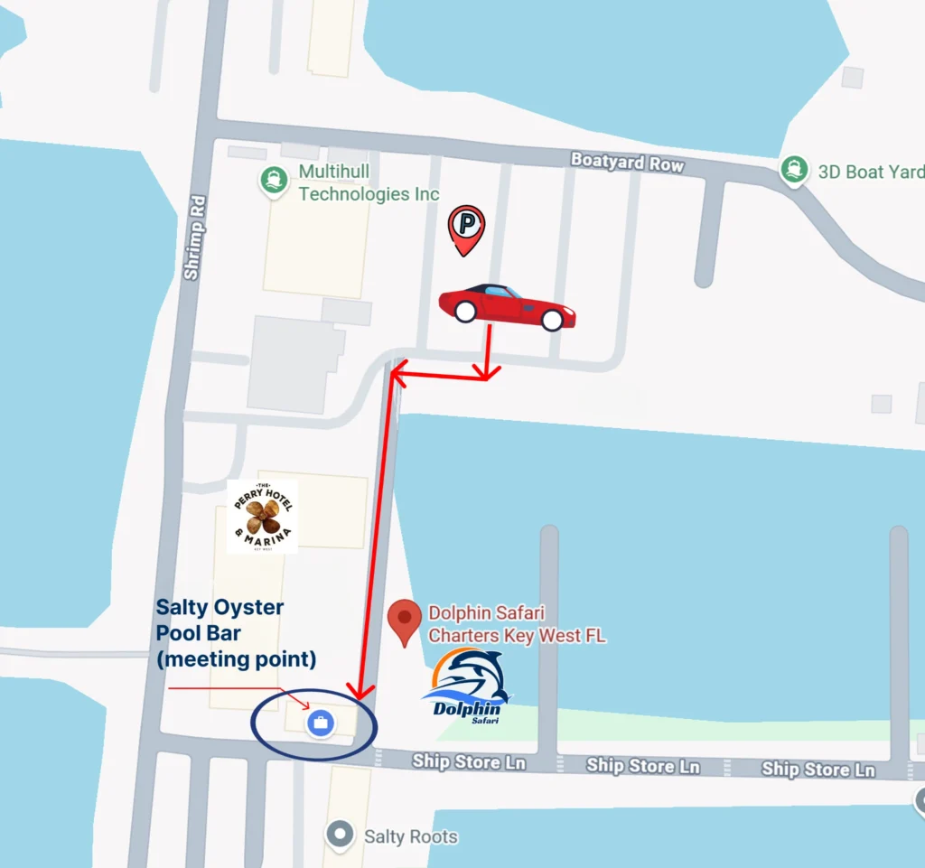 Directions to Dolphin Safari Charters meeting point at Perry Hotel Marina Key West