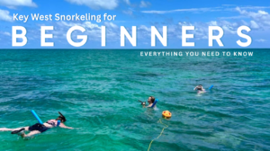 beginners-snorkeling-group-in-key-west-tour