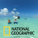 Sunny sandbar in Key West during a dolphin watching and snorkeling tour recommended by National Geographic
